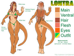 bikini jeremy_bernal lontra_(jeremy_bernal) micro_bikini model_sheet otter sexyfur