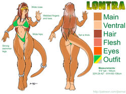 anthro bikini jeremy_bernal lontra_(jeremy_bernal) model_sheet otter sexyfur