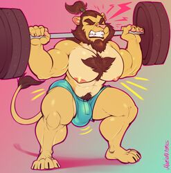 2020 abs absurd_res anthro barazoku beard biceps big_pecs body_hair bottomwear bulge chest_hair clenched_teeth closed_eyes clothed clothing emanata exercise facial_hair felid gradient_background hair hi_res hotpants lion male male_only mammal mane marlon.cores muscular muscular_anthro muscular_male nipples pantherine pecs ponytail pubes quads shang shorts signature simple_background solo squats teeth topless topless_male weightlifting workout