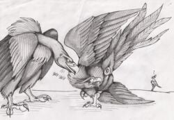 01phoenix01 2019 accipitriform ambiguous/ambiguous ambiguous_gender animal_genitalia avian bird cloaca defensive duo english_text european_mythology eye_contact feral genitals graphite_(artwork) greek_mythology looking_at_another monochrome mythological_avian mythological_firebird mythology on_one_leg outside pencil_(artwork) phoenix secretary_bird shaded standing text traditional_media_(artwork) vulture