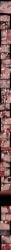 anal anal_insertion anal_penetration anal_sex anus ass ass_grab black_hair blush blushing breasts brown_hair closed_eyes clothed clothed_male clothed_male_nude_female comic couple couple_(romantic) cuckold cuckolding cum cum_in_pussy cum_inside dialogue dokuneko_noil drool drooling drunk drunk_blush elf elf_ears elf_female fellatio fern_(sousou_no_frieren) fertilization finger_in_ass fingering fingering_partner frieren green_eyes groping impregnation kissing long_hair multiple_boys multiple_males naked naked_female naked_male netorare nightgown nipple_tweak nipples ntr nude nude_female nude_male oblivious oblivious_cheating oral oral_penetration oral_sex orgasm panties penis purple_eyes purple_hair pussy rape red_hair sex short_hair sleep_molestation sleeping sousou_no_frieren sperm sperm_cell sperm_meets_ovum spitroast stark_(sousou_no_frieren) stolen_kiss sword_swallowing_position tall_image text twintails unaware unaware_cuckold underwear vaginal vaginal_insertion vaginal_penetration vaginal_sex white_hair x-ray