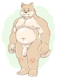 2020 anthro belly canid canine canis domestic_dog genitals hi_res humanoid_hands kemono kumao male male_only mammal moobs navel nipples overweight overweight_male penis simple_background solo