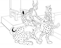 anthro furry lynx multi_breast pussy_lick soty taur