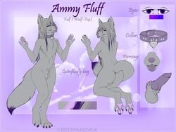 ammy_fluff_(character) animal_genitalia animal_penis anthro ass balls big_butt canid canine canine_penis canis chest_tuft collar colored_nails dipstick_tail erection fluffy fluffy_tail fox fur genitals girly grey_body grey_fur grey_hair hair highlights_(coloring) hybrid knot long_hair male mammal multicolored_tail nails nude pawpads penis piercing pink_pawpads purple_eyes purple_nose purple_tongue sheath simple_background small_balls small_penis solo tongue tongue_out tongue_piercing tuft wolf xredpandax_(artist)