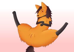 absurd_res baku brown_hair canid canine clothing collar female feral fox fur genitals hair hi_res hybrid inviting legwear long_hair mammal orange_body orange_fur pussy simple_background solo spread_legs spreading stockings unknown_artist white_background