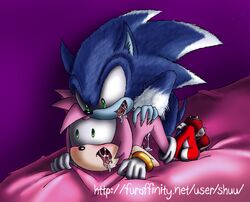 amy_rose anthro female fur hedgehog male mammal sex shuu sonic_(series) sonic_the_hedgehog sonic_unleashed straight