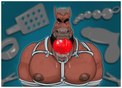 anal_beads anthro arms_behind_back ball_gag big_ball_gag bodily_fluids body_hair bondage bondagefanart bound brown_body dildo drooling duct_tape equid equine facial_hair gag gagged ggponk grey_hair hair hi_res horse lips looking_at_viewer male male_only malesub mammal military muscular muscular_anthro muscular_male nipple_clamp nipples paddle rope rope_bondage saliva sergeant_gates sex_toy simple_background solo sweat tape thick_lips toy_selection