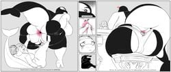 anal anal_vore angry anthro anthro_on_anthro anthro_pred anthro_prey anus ass big_breasts big_butt black_body black_skin bodily_fluids boots breasts cameltoe cetacean clothed clothing comic cross-popping_vein curvy_figure delphinoid desk dolphysoul duo_focus english_text eyelashes female female/female female_pred female_prey footwear furniture genitals grey_background group hi_res high_heels huge_breasts huge_butt large_ass larger_anthro larger_female larger_pred looking_at_another lying mammal marine multicolored_body multicolored_skin natsumi_(dolphysoul) oceanic_dolphin office on_back onomatopoeia open_mouth orca partially_clothed pussy shoes simple_background sitting size_difference smaller_anthro smaller_female smaller_prey soft_vore sound_effects spot_color spread_butt spreading sweat sweatdrop text thick_tail thick_thighs toothed_whale two_tone_body two_tone_skin underwear underwear_down vein voluptuous vore white_body white_skin wide_hips yuri