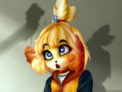 1girls ahe_gao animal_crossing anthro bangs big_eyelashes big_eyes black_eyes black_nose blue_eyes choker crimicram eyelashes fringe fur furry heart-shaped_pupils hoodie isabelle_(animal_crossing) jingle_bell jingle_bells jinglebell looking_at_another looking_away looking_up nintendo open_eyes open_mouth orange_fur penis_shadow pupils shadow surprise surprised sweater white_shirt yellow_fur yellow_hoodie yellow_sweater zipper