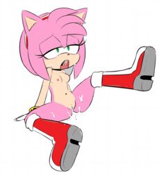 amy rose from sonic (series) by hearlesssoul