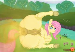 fluttershy (mlp) from friendship is magic by mittsies
