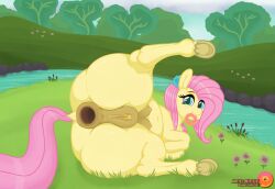 fluttershy (mlp) from friendship is magic by mittsies