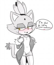 blaze the cat from sonic (series) by hearlesssoul