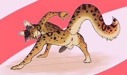 anthro anus ass balls ear_piercing felid feline fuzzikayu genitals green_eyes hi_res jewelry looking_at_viewer looking_back male male_only mammal piercing presenting presenting_hindquarters serval simple_background solo spots tongue tongue_out