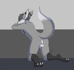 1boy 2018 4_toes 5_fingers abstract_background anthro anus ass balls biped black_feet blush bodily_fluids canid canine canis chastity_cage chastity_device claws crossed_arms dripping dripping_precum fingers fur genital_fluids genitals grey_body grey_fur grey_hair hair hi_res kneeling leaning lock looking_at_viewer looking_back male male_only mammal milodesty monotone_hair multicolored_body multicolored_fur nude penis precum presenting presenting_hindquarters puddle raised_tail shy signature simple_background solo striped_ears toes white_body white_fur wolf