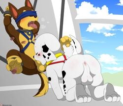 animal_ears animal_genitalia animal_penis animal_tail black_body bound brown_body chase_(paw_patrol) male_only marshall_(paw_patrol) paw_patrol paws tied_up white_body winick-lim