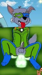 animal_ears animal_genitalia animal_penis anthro blue_clothing gray_body green_clothing male_only male_penetrating orange_clothing paw_patrol rocky_(paw_patrol) white_body