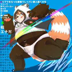 1:1 2020 ailurid anthro balls_outline belly bulge clothing genital_outline hi_res hoodie kemono male male_only mammal navel overweight overweight_male penis_outline red_panda solo topwear underwear yuuya333