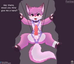 absurd_res anthro balls bandage blush bondage bondage bound canid canine climbing climbing_harness clothing collar english_text fangs ferine_(senz) footwear fox genitals gloves handwear harness hi_res knot male mammal open_mouth paws penis restraints rope rope_bondage rope_harness senz solo tail teeth text url