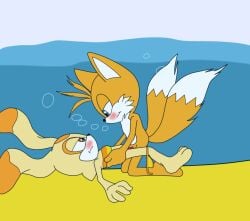 1boy 1girls cream_the_rabbit fox leydenthewolf male/female miracle227 pool rabbit sega sex sonic_(series) sonic_the_hedgehog_(series) swimsuit tails tails_the_fox underwater water young