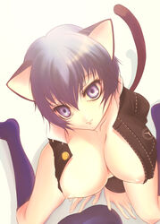 animal_ears blue_eyes blue_hair breasts cat_ears cat_tail cleavage footwear head_tilt kneehighs large_breasts megami_tensei nipples persona persona_4 sakurasawa_yukino shirogane_naoto short_hair socks tail