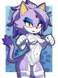 blaze the cat from capcom by skwid