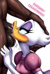 daisy duck from disney