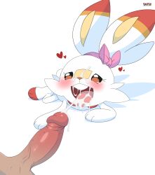 absurd_res anthro balls biped bodily_fluids cum cum_on_face duo eyelashes female fur generation_8_pokemon genital_fluids genitals hi_res interspecies male male/female nintendo nude on_style open_mouth paws penis pokemon pokemon_(species) pupils sarox scorbunny simple_background size_difference smile tongue tongue_out white_body