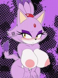 blaze the cat from sega by genyacero