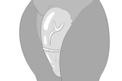 3:2 anthro big_penis countershade_fur countershade_torso countershading digital_media_(artwork) flaccid fur fur_tuft genitals greyscale hi_res male monochrome multicolored_body multicolored_fur nude penis psychpsy psychpsyo simple_background solo tuft two_tone_body two_tone_fur vein veiny_penis white_background