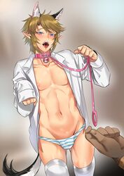 2boys animal_ears animal_tail ass_visible_through_thighs blonde_hair blue_eyes blush collar crossdressing femboy girly link muscular panty_bulge saliva shirt shirt_open tamatamako the_legend_of_zelda yaoi