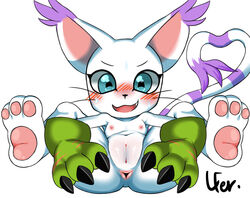 anus blush bodily_fluids breasts claws clothing digimon digimon_(species) female furry gatomon genitals gloves handwear hi_res lfer lying no_humans on_back open_mouth presenting presenting_anus presenting_pussy pussy simple_background small_breasts solo spread_anus spread_legs spreading sweat white_background