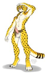 2020 4_toes 5_fingers abs anthro balls cheetah digital_media_(artwork) digitigrade eagle_orion felid feline fingers fur genitals hi_res kittydee male male_only mammal penis pink_nose simple_background solo spots spotted_body spotted_fur toes