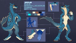 1boy 5_fingers 5_toes anthro capcom elvche fingers genitals knot lagiacrus leviathan_(mh) male male_only model_sheet monster_hunter open_mouth penis simple_background solo standing teeth toes tongue video_games