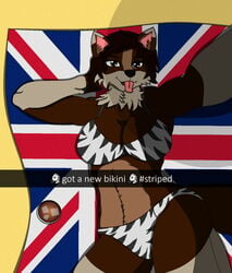 anthro beach beach_towel bikini brown_eyes brown_fur brown_hair canine female fluffy fluffy_tail furry mika mika_elendil mikathefluffywolf union_jack wolf zebra_print