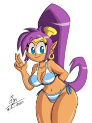 1girls bikini blue_eyes cute dark-skinned_female female female_only ponytail purple_hair raccoonmugen shantae shantae_(character) smooth_skin solo transparent_background