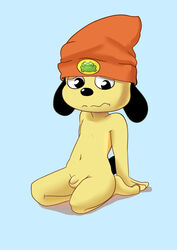 embarrassed male_only on_knees parappa parappa_the_rapper penis