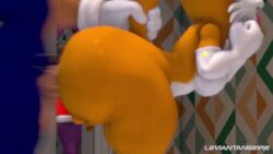 1girls 2boys 3d 3d_animation amy_rose animated ass big_ass big_butt bottom_heavy caught caught_in_the_act completely_naked completely_nude curvy dat_ass doggy_style dumptruck_ass fat_ass furry gay gay_sex highres hips huge_ass huge_butt large_ass large_butt leviantan581re male/male male_penetrated male_penetrating male_penetrating_male naked nude plap_(sound) plump plump_ass small_penis sonic_(series) sonic_the_hedgehog sonic_the_hedgehog_(series) sound sound_effects tagme tail tail_grab tails_the_fox thick thick_ass tongue tongue_out video voluptuous wide_hips yaoi