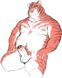 2019 anthro balls belly erection felid genitals hi_res male male_only mammal moobs navel nipples nu_nudo_do overweight overweight_anthro overweight_male pantherine penis simple_background solo tiger white_background