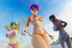 anthro beach bikini cubikore large_ass large_breasts linon lioness panties trio