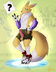 absurd_res balls bandai_namco canid canine caninine clothing digimon digimon_(species) digital_media_(artwork) footwear fox genitals hi_res knot male mammal penis renamon ripping shoes tearing transformation world