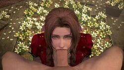 1boy 1girls 3d aerith_gainsborough animated big_penis chasingnero erection fellatio female final_fantasy final_fantasy_vii looking_at_viewer male no_sound oral penis source_filmmaker straight video