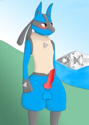 2020 absurd_res anatomically_correct anatomically_correct_genitalia animal_genitalia animal_penis anthro balls bluedeluge blush bodily_fluids canine_penis erection fur genitals hi_res looking_away lucario male male_only nintendo nude penis pokemon pokemon_(species) red_penis solo video_games