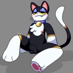 1:1 animal_crossing animal_genitalia anthro bell bell_collar bite biting_lip blush collar domestic_cat felid feline felis fully_sheathed genitals gritsnshit hi_res lidded_eyes male male_only mammal multi_nipple nintendo nipples punchy_(animal_crossing) sheath solo spread_legs spreading video_games