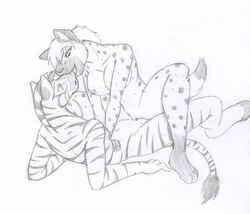 2013 anthro anthro_on_anthro breasts equine female furry hyena kissing lying male no_humans nude on_back penetration pussy reverse_cowgirl_position sex straddling straight tierafoxglove vaginal_penetration zebra