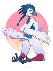 anthro ass avian bird blue_body blue_feathers breasts claws feathers female furry furry_only genitals hi_res michikochan pinup pose pussy solo