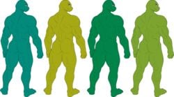 4boys 5_fingers 5_toes anthro ass donatello_(tmnt) humanoid leonardo_(tmnt) male_only michelangelo_(tmnt) muscles naked posing raphael_(tmnt) sparksstars teenage_mutant_ninja_turtles