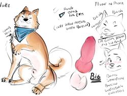 2020 4:3 anatomically_correct animal_genitalia animal_penis balls bastion blush canid canine canine_penis canis domestic_dog english_text erection feral genitals hi_res knot male male_only mammal penis pink_penis sheath shiba_inu simple_background sitting sketch smile solo spitz text white_background