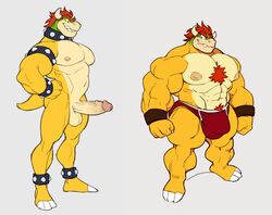 abs analon_(artist) anthro balls big_arms body_hair bowser briefs chest_hair clothed clothing croconut genitals grey_background hair humanoid_genitalia humanoid_penis koopa looking_at_viewer male male_only mario_(series) muscular muscular_anthro muscular_male navel nintendo partially_clothed penis pubes red_hair scalie simple_background solo toomanyboners topless underwear video_games