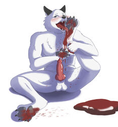 4_toes absurd_res animal_genitalia animal_penis auto_foot_lick balls blood blood_on_foot blood_on_hand blush bodily_fluids canid canine canine_penis canis claws feet foot_fetish foot_lick foot_play fur furry genitals gore green_eyes hi_res kage licking male mammal pawpads paws penis pinkflavor self_foot_worship self_lick solo toe_claws toes tongue tongue_out white_balls white_body white_fur wolf